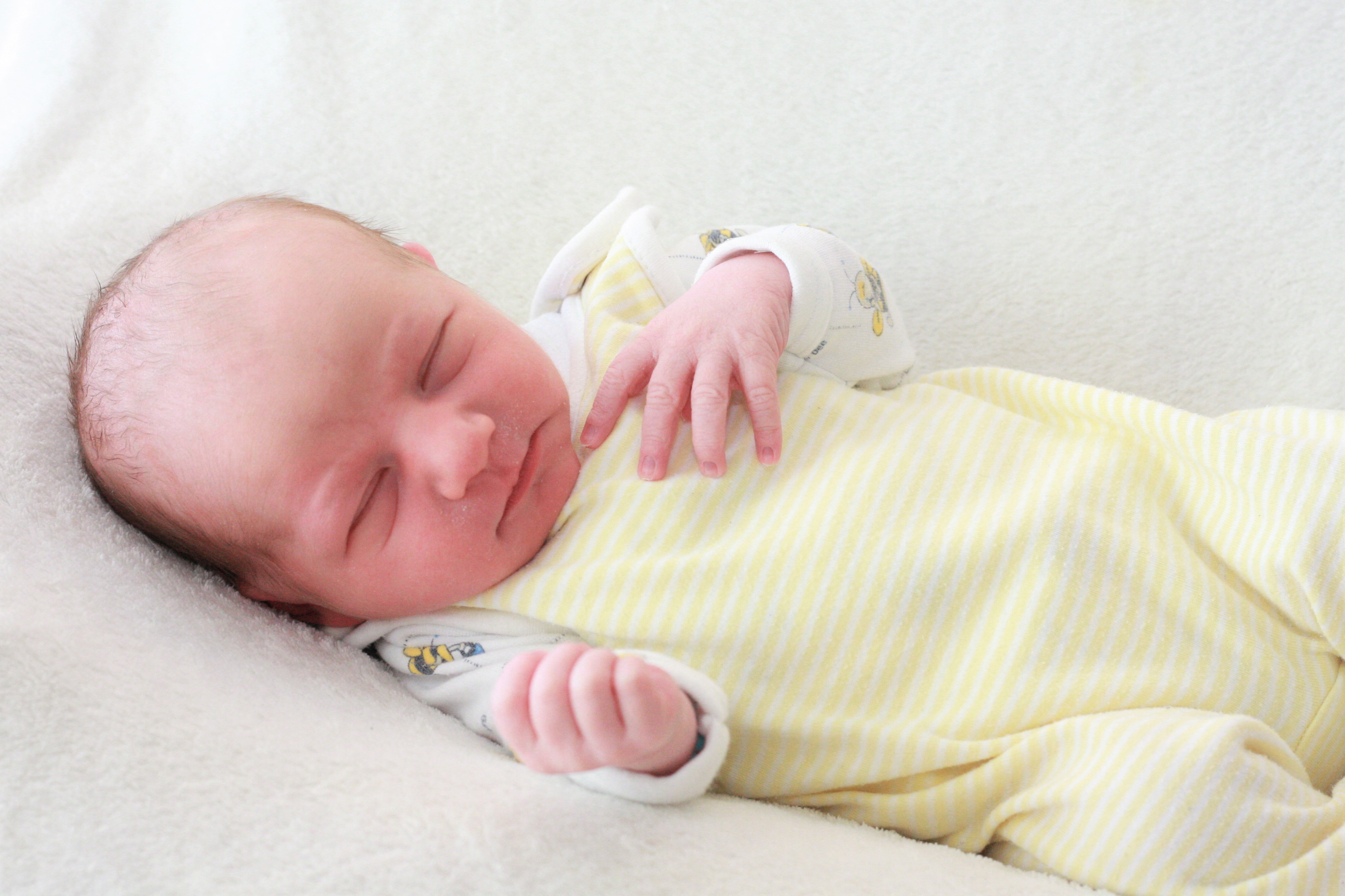 Baby Bild