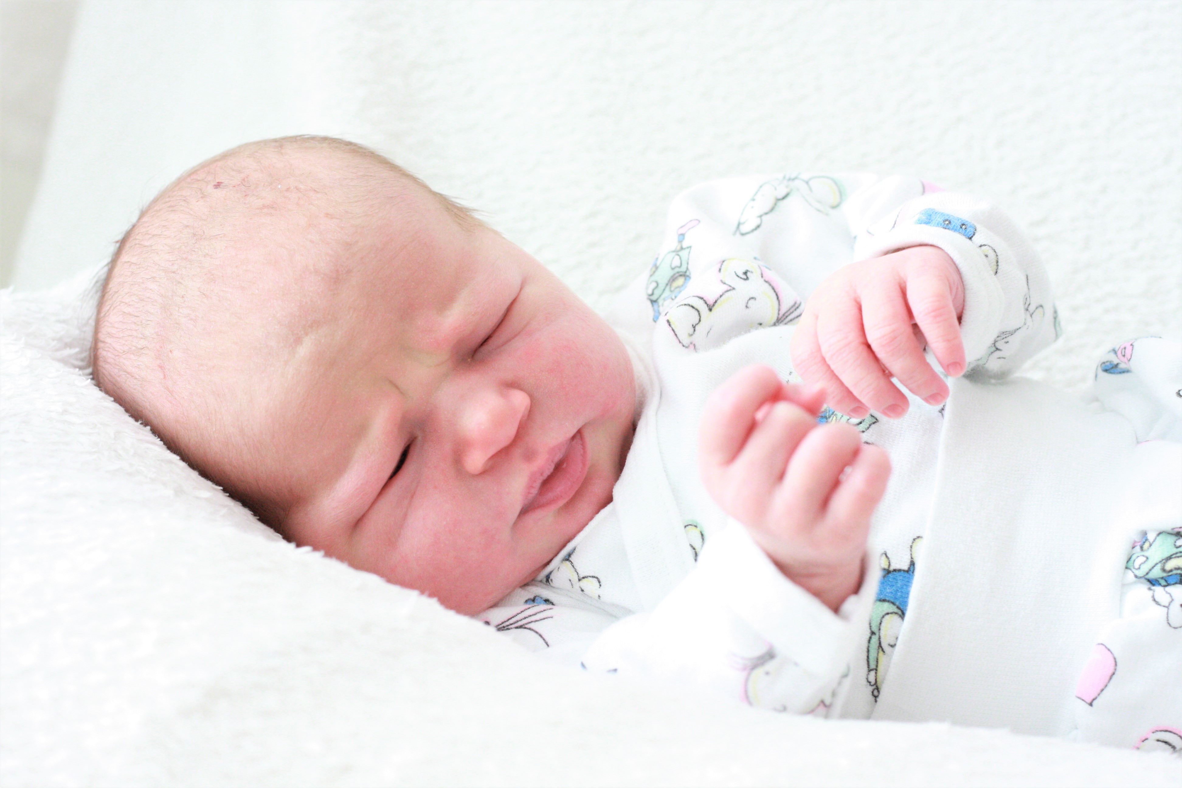 Baby Bild